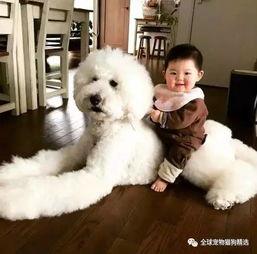 老二狗的外婆爆料视频下载