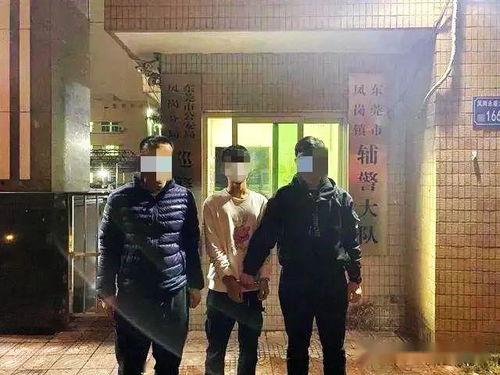 惠州市中学爆料事件最新,真相揭开,校园安全引关注 第3张 惠州市中学爆料事件最新,真相揭开,校园安全引关注 第3张