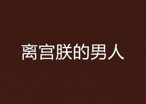 朕的男人在线观看,穿越时空的浪漫邂逅