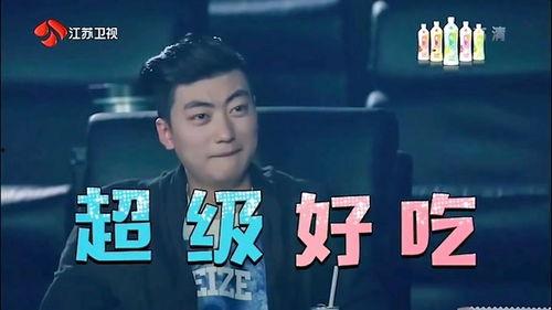 李玉峰反串歌手爆料视频,幕后故事与音乐魅力 第1张 李玉峰反串歌手爆料视频,幕后故事与音乐魅力 第1张